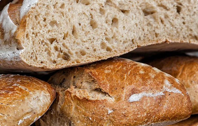 Lorem ipsum dolor sit amet, consectetur adipiscing elit cras ac molestie nisl, vel maximus nisl.