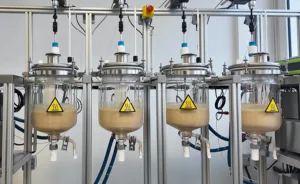 Formation Communiquez sur les levains