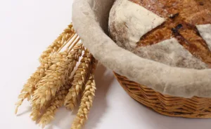 Formation Pain et Nutrition